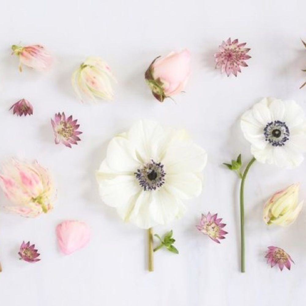 Meet your Posher, Eleanor